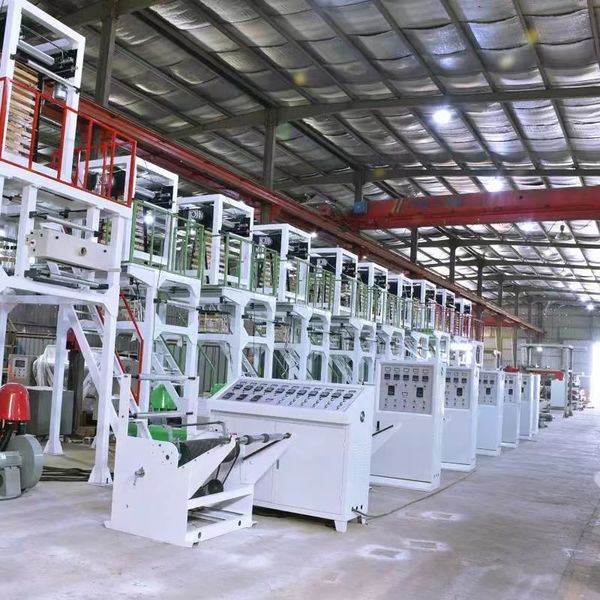 الصين Xinda Pelosi Co.,Limited ملف الشركة